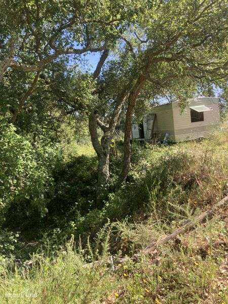 Para cavalos a campo Lisboa loures . Terreno - Grande imagem: 2/6