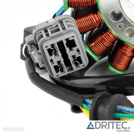 STATOR CAN AM DS 250 (2008-2016) - 3