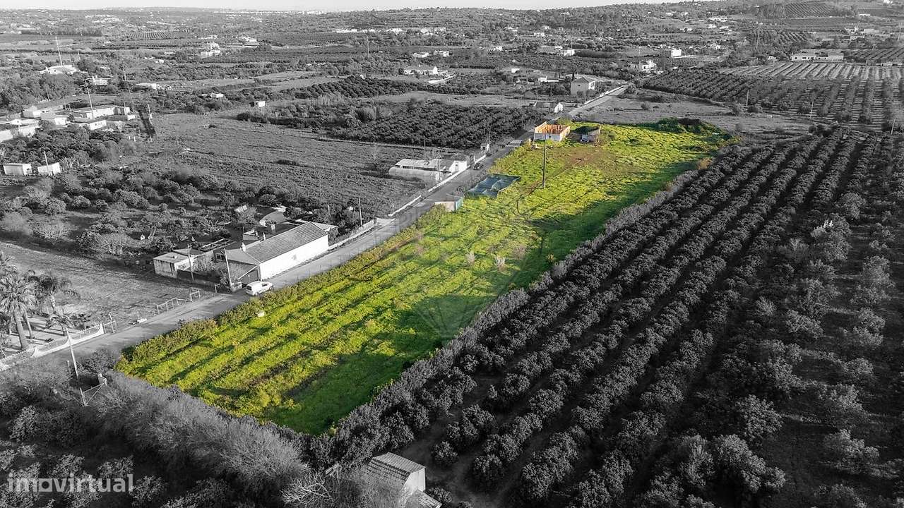 Quinta T3 para venda - Grande imagem: 3/9