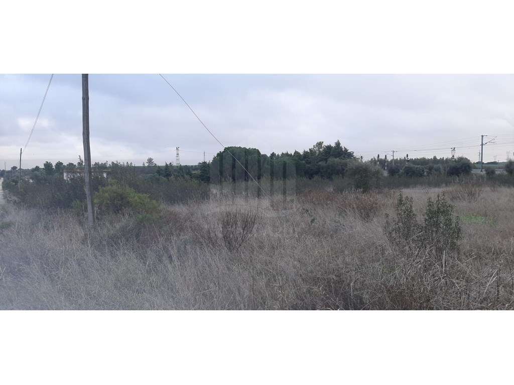 Terreno com 15.000 m² em Plena Natureza na Região de Palmela-10