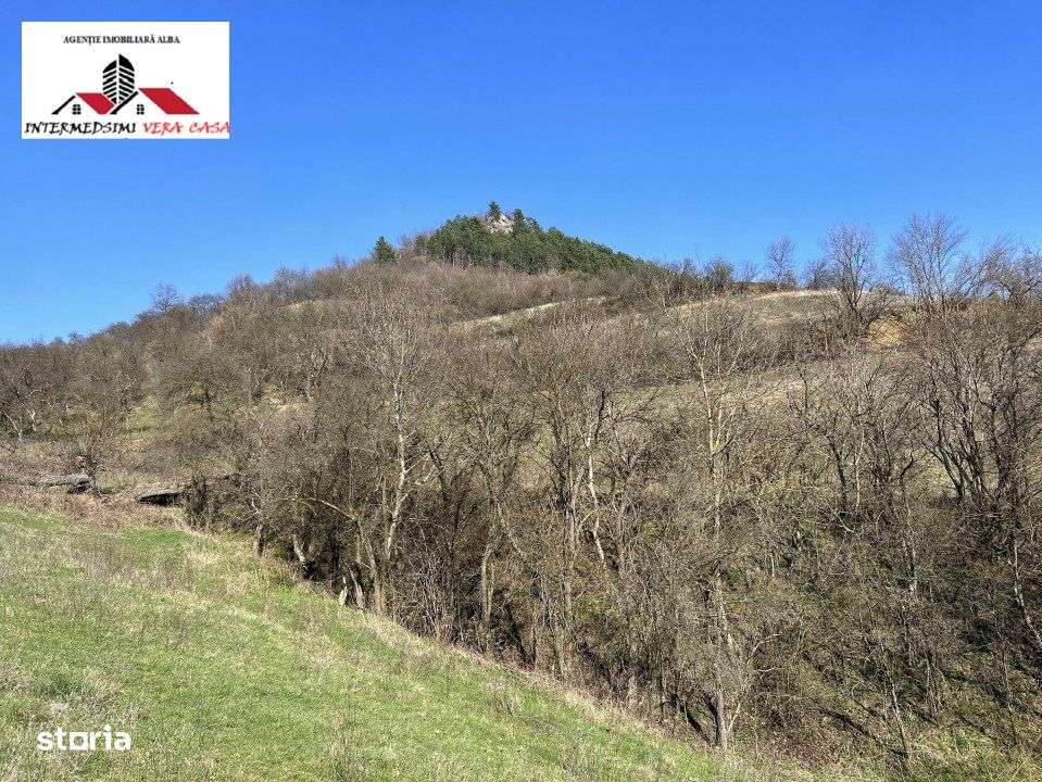 Teren intravilan - extravilan 9,3 Ha de vanzare Matacina Jud Alba - Imagine principală: 4/16