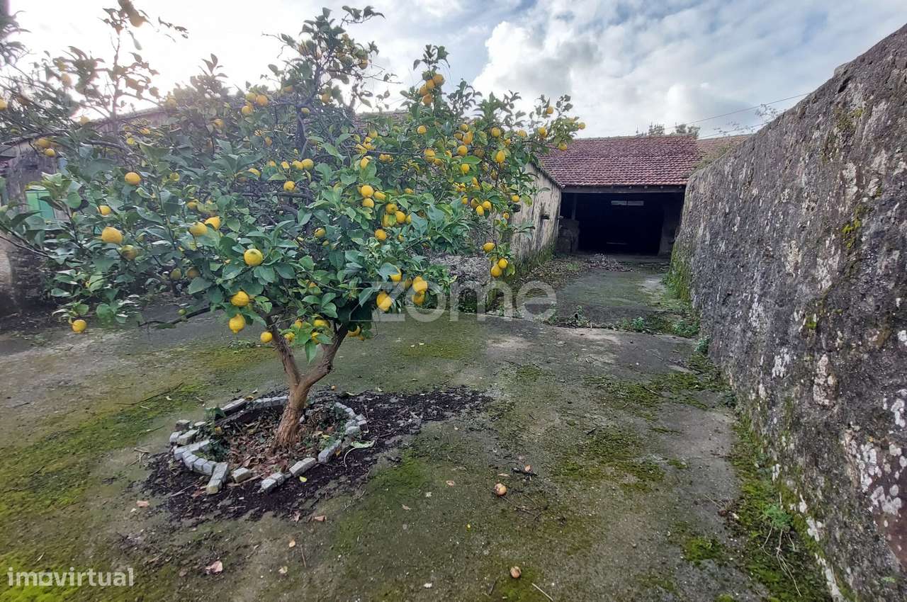 Quinta T4 com Terreno de 1.800 m² em Nogueira do Cravo-19