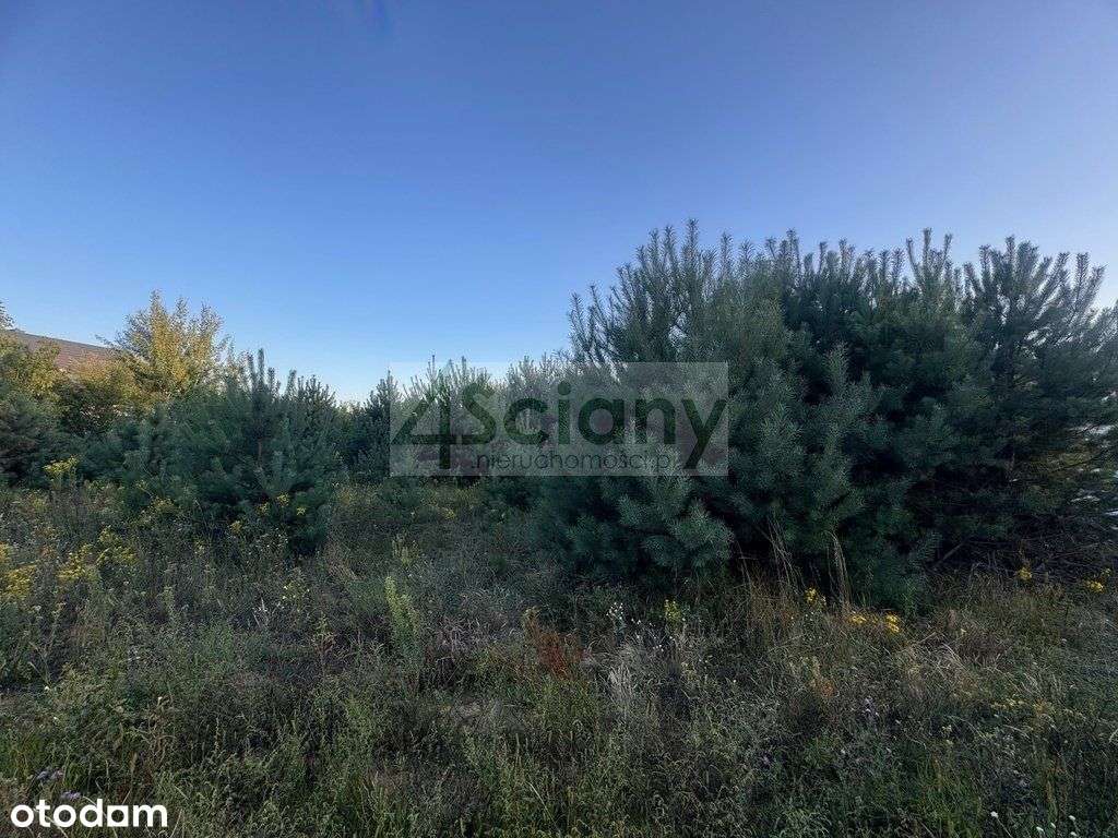 Atrakcyjna działka w Wieliszewie - Pełny obrazek: 1/8