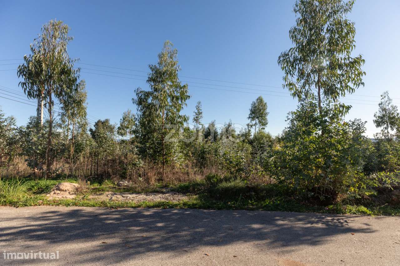 Terreno | São Facundo | Coimbra | 4950m2 - Grande imagem: 2/25