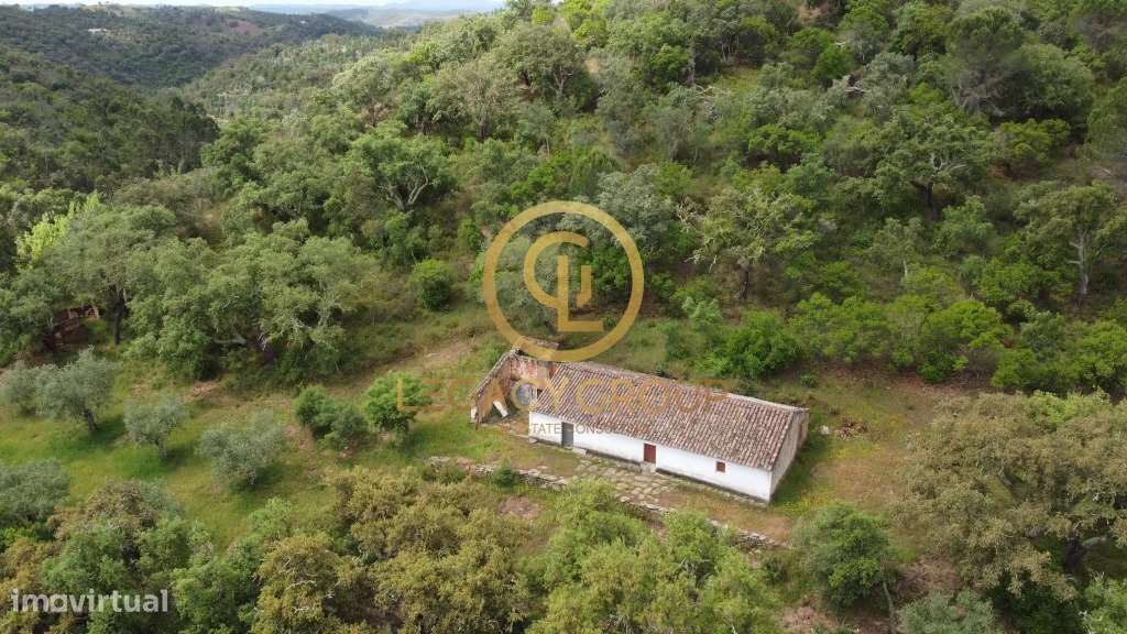 Quinta de 6 hectares perto de São Martinho das Amoreiras-0