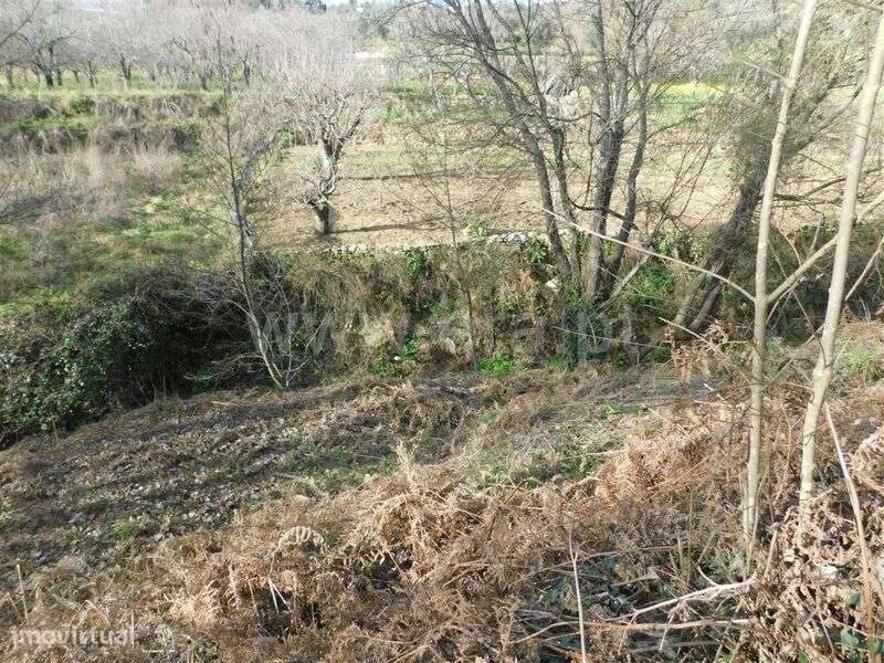 Terreno / Fundão, Souto da Casa - Grande imagem: 4/8