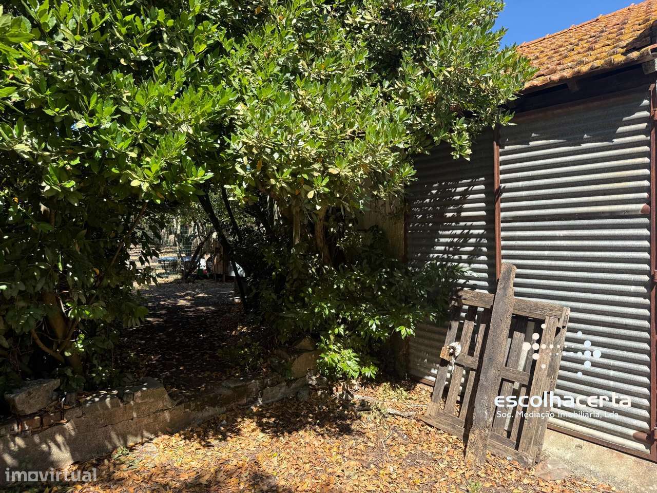Moradia emblematica em Quinta do Anjo-33
