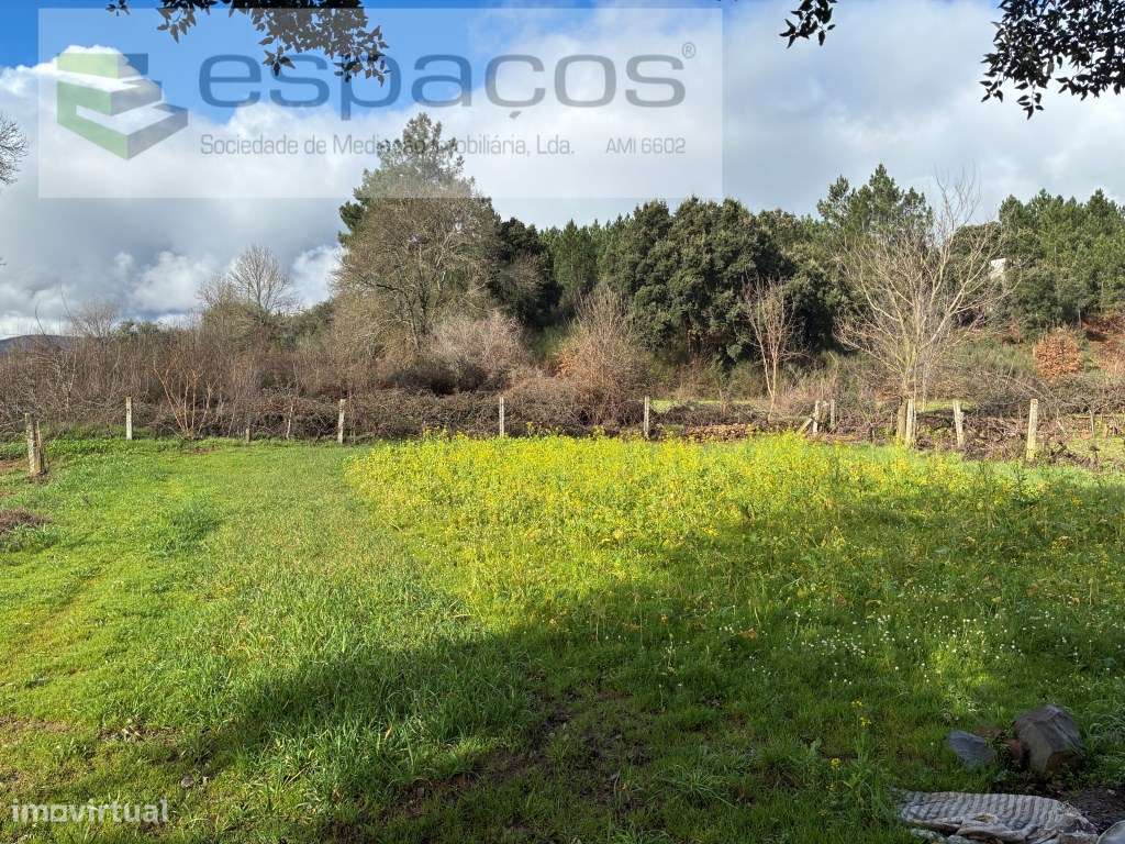 Magnifica Quinta a confinar com Rio Zêzere-11