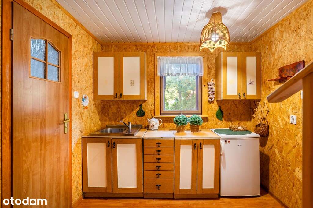 Duża działka z domkiem letniskowym-7