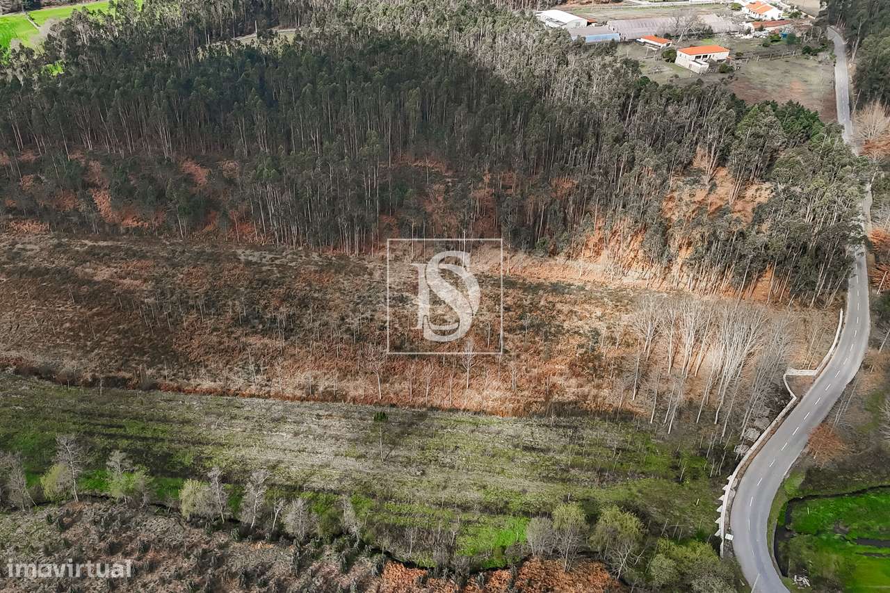 Terreno Rústico  Venda em Associação de freguesias do Vale do Neiva,Po-8