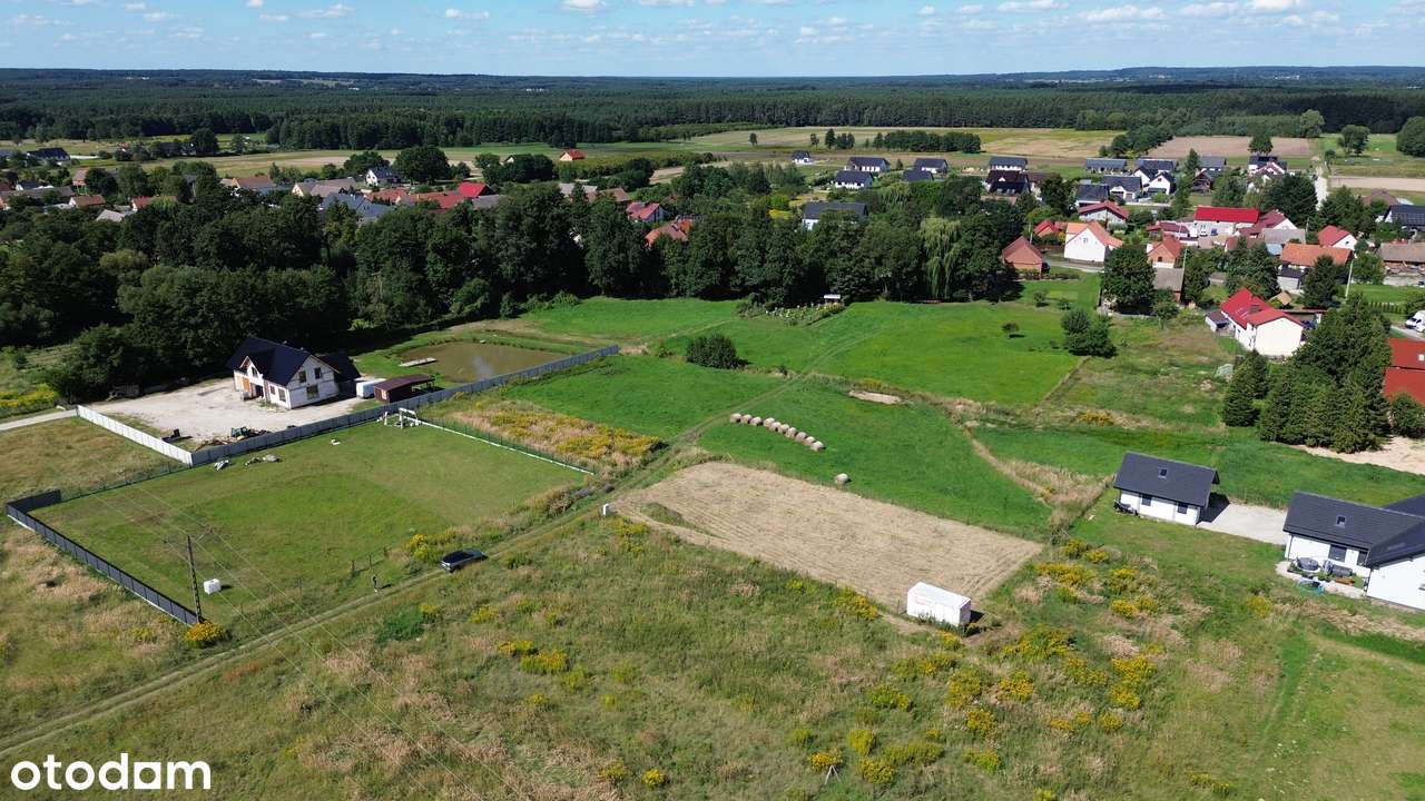 DZIAŁKA  Budowlana 11,04 AR – KASZOWO, GMINA MILICZ – LAS DOlina Baryc-8