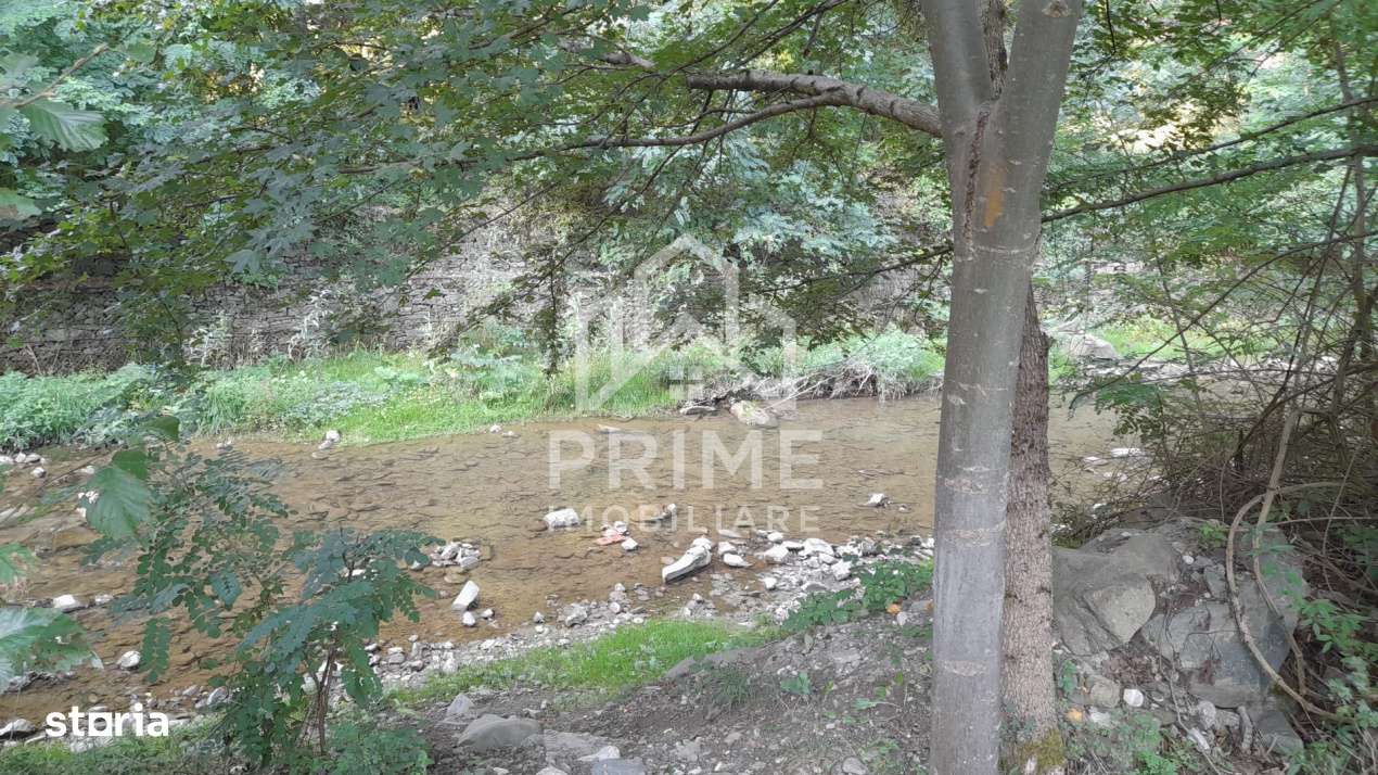 Teren intravilan 1240 mp | UTILITATI | Fata Pietrii | aproape Transapu - Imagine principală: 4/6