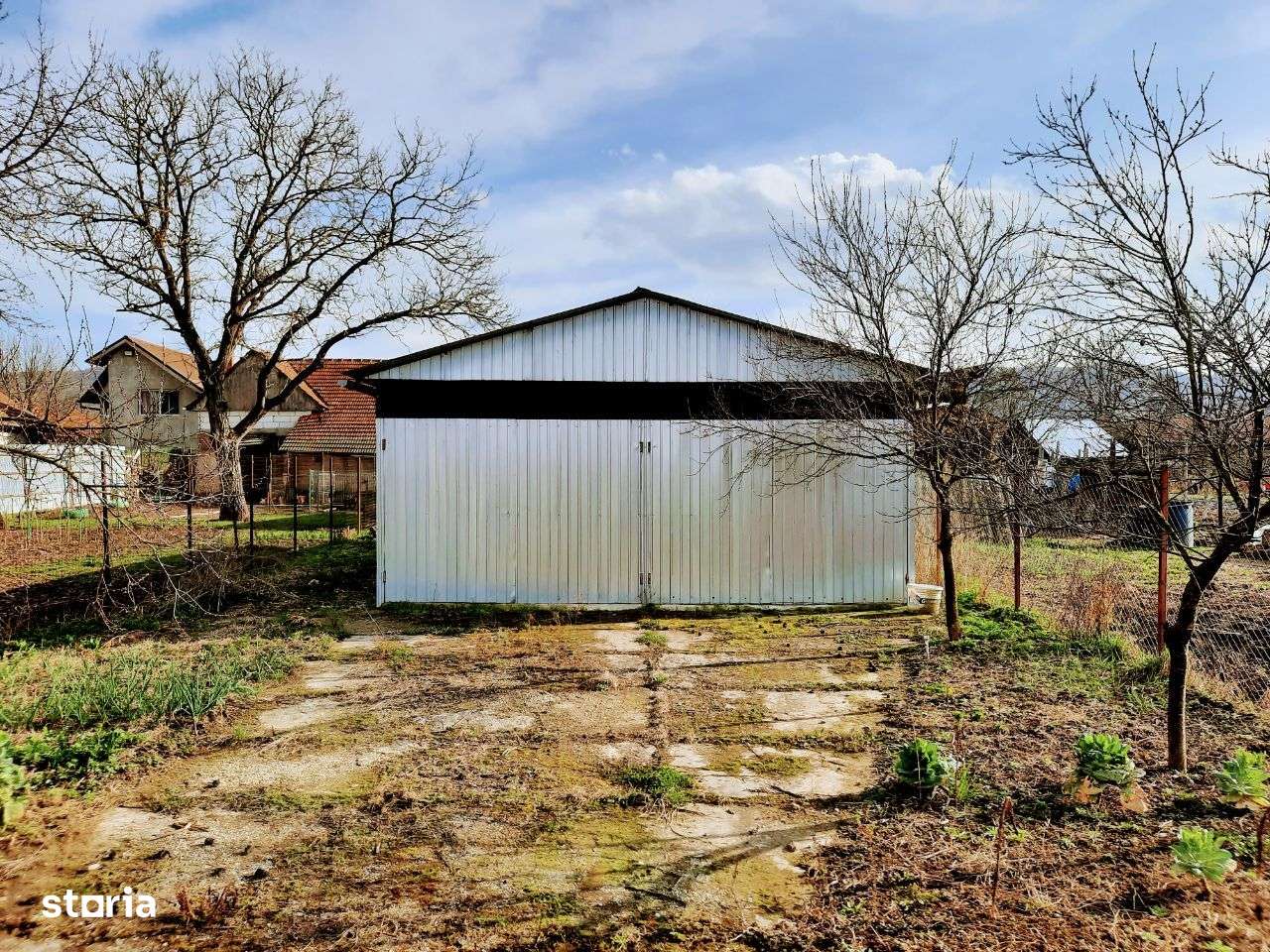 Ilia, proprietate deosebita-10