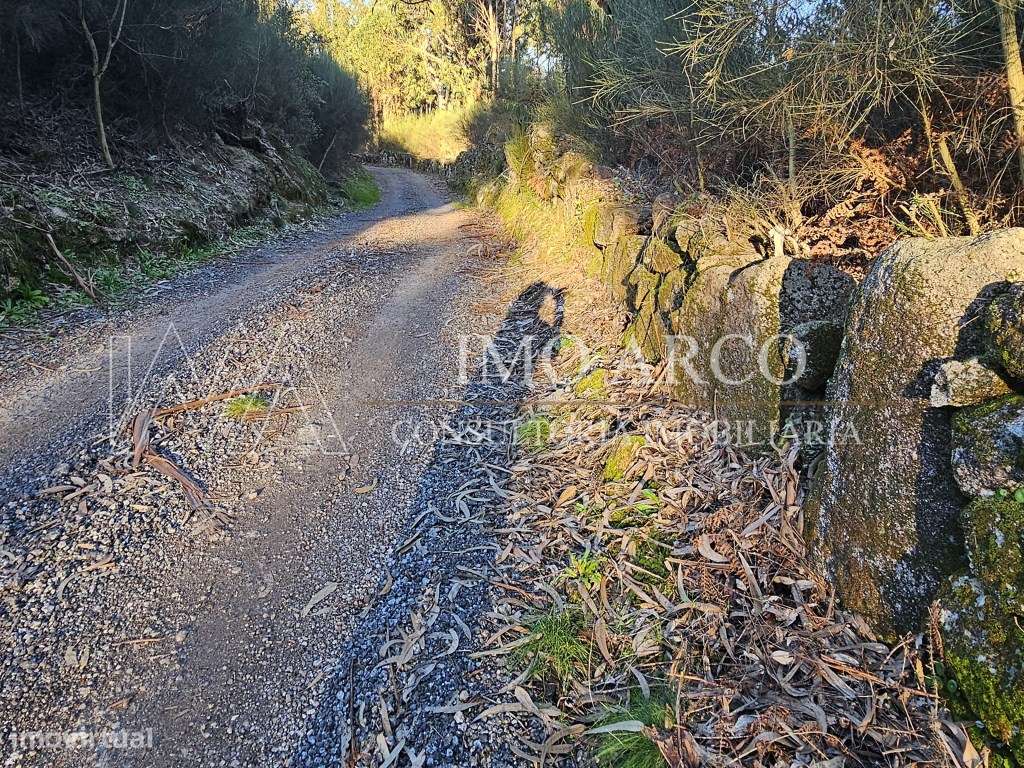 Terreno Rústico com 45.900 m² - Pedraça, Cabeceiras de Basto-7