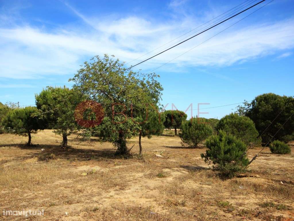 Terreno rústico de 5.200m² em Vale Verde, Almancil - Grande imagem: 4/6
