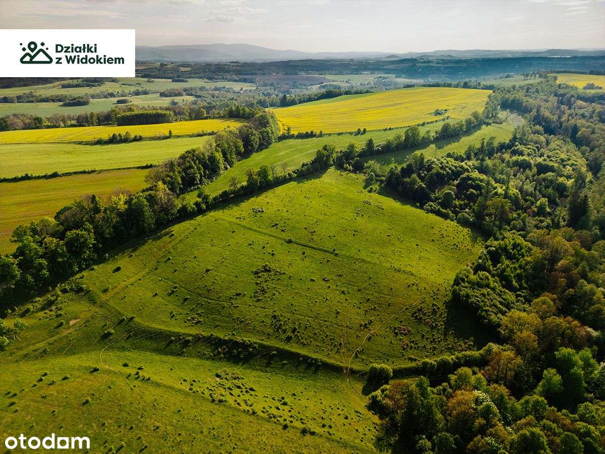 Golejów - działka budowlana siedliskowa, perełka Pogórza Izerskiego - Pełny obrazek: 5/6