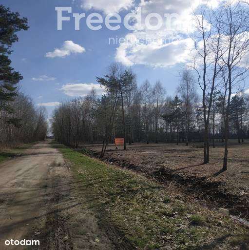 Atrakcyjna działka budowlana w Ludwikowie - Pełny obrazek: 5/8