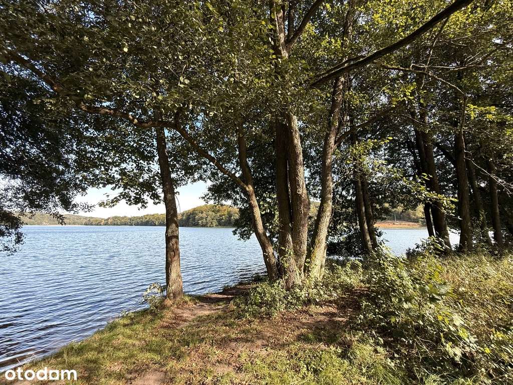 Michalin | bajeczna działka | dom-14