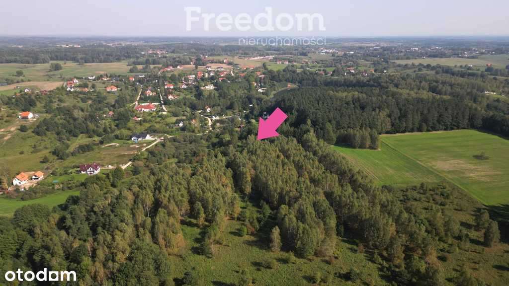 Działka budowlana z warunkami zabudowy  Ługwałd - Pełny obrazek: 5/9