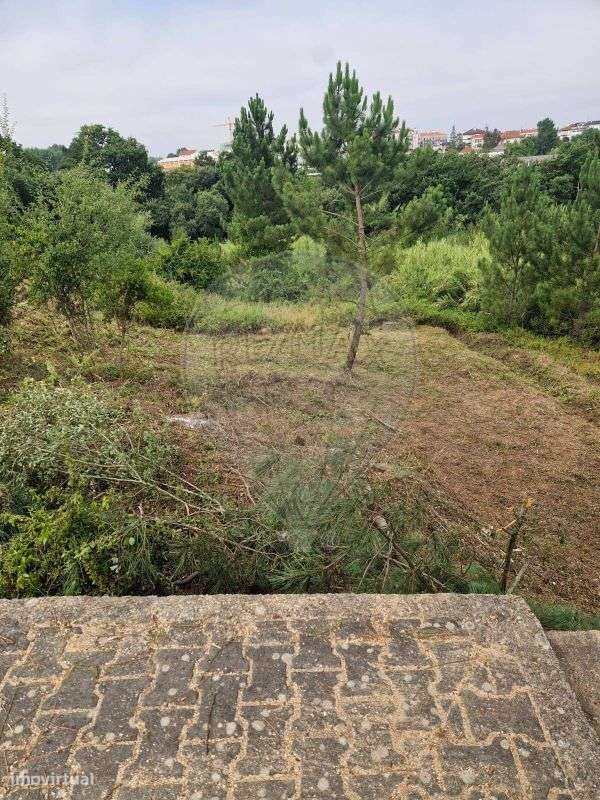 Terreno  para venda - Grande imagem: 5/6