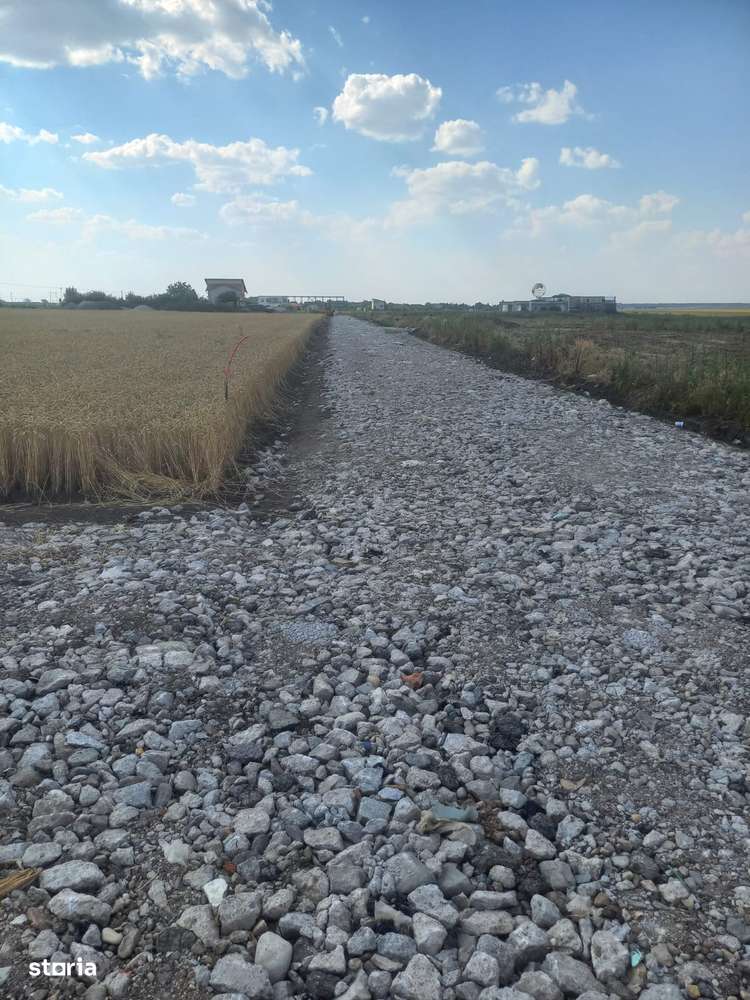 Teren 450 mp RG 1 Pasarea, gaz si curent - Imagine principală: 5/6