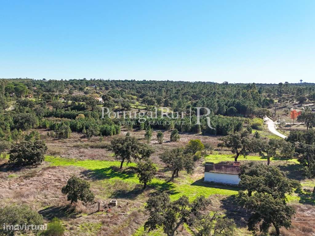 Quinta de 20ha com projeto para Turismo Rural a 1h de Lisboa-37