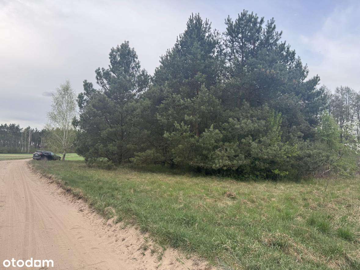 OKAZJA!!!!KORNELIN gmina Szubin 2 Jeziora, las, cisza-5