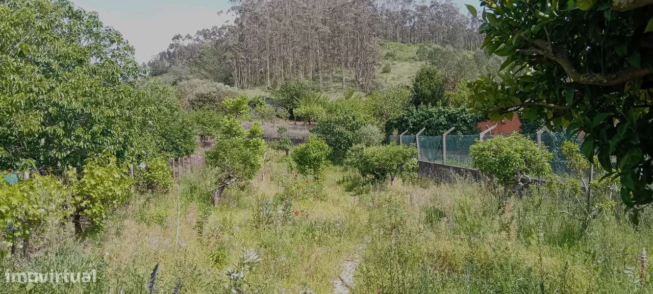 Moradia T4 em Lapaduços, Vila Verde dos Francos-35