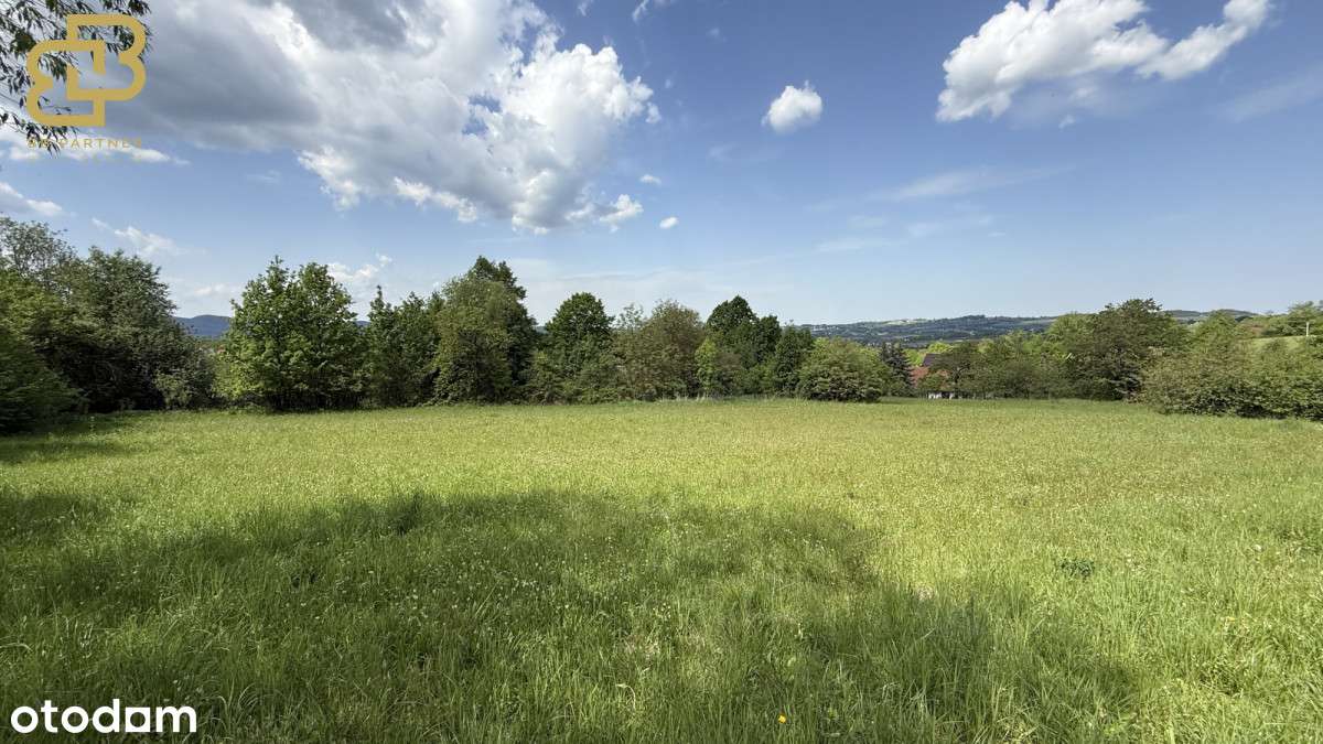 Twoja przestrzeń w naturze – działka 1,78 ha-4