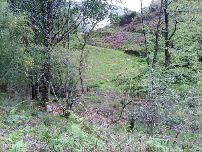 Terreno 15000 m2 Bruzende - Grande imagem: 2/5