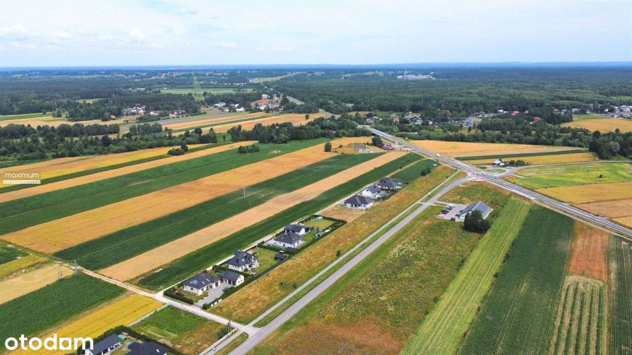 Działka budowlana 87 ar|usługi|jednorodz.|Księżpol - Pełny obrazek: 4/9