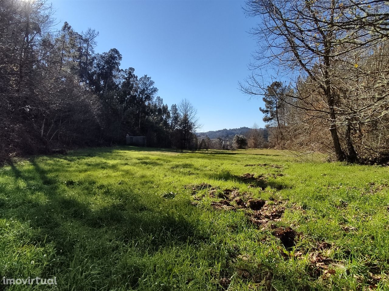 Terreno com 5ha na Quinta da Silva