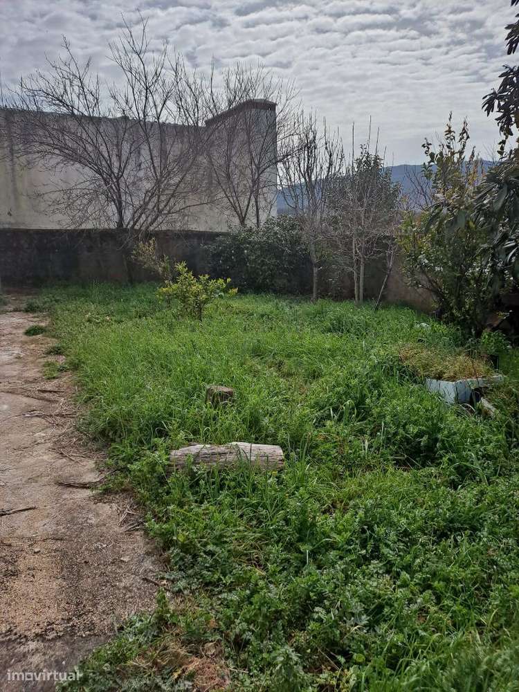 Vende-se moradia em Porto Espada, GRANDE OPORTUNIDADE COM BAIXA PREÇO - Grande imagem: 5/25