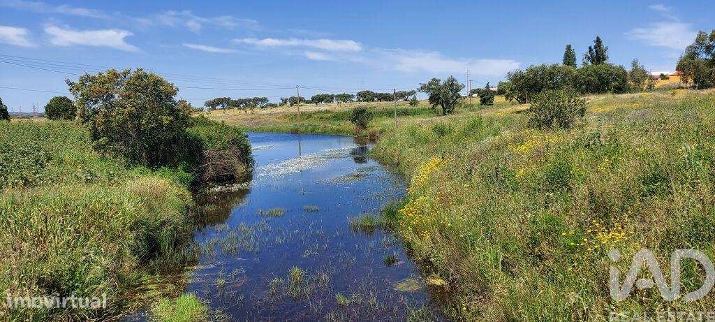 Propriedade T7 em Ourique de 490 m2 - Grande imagem: 5/40