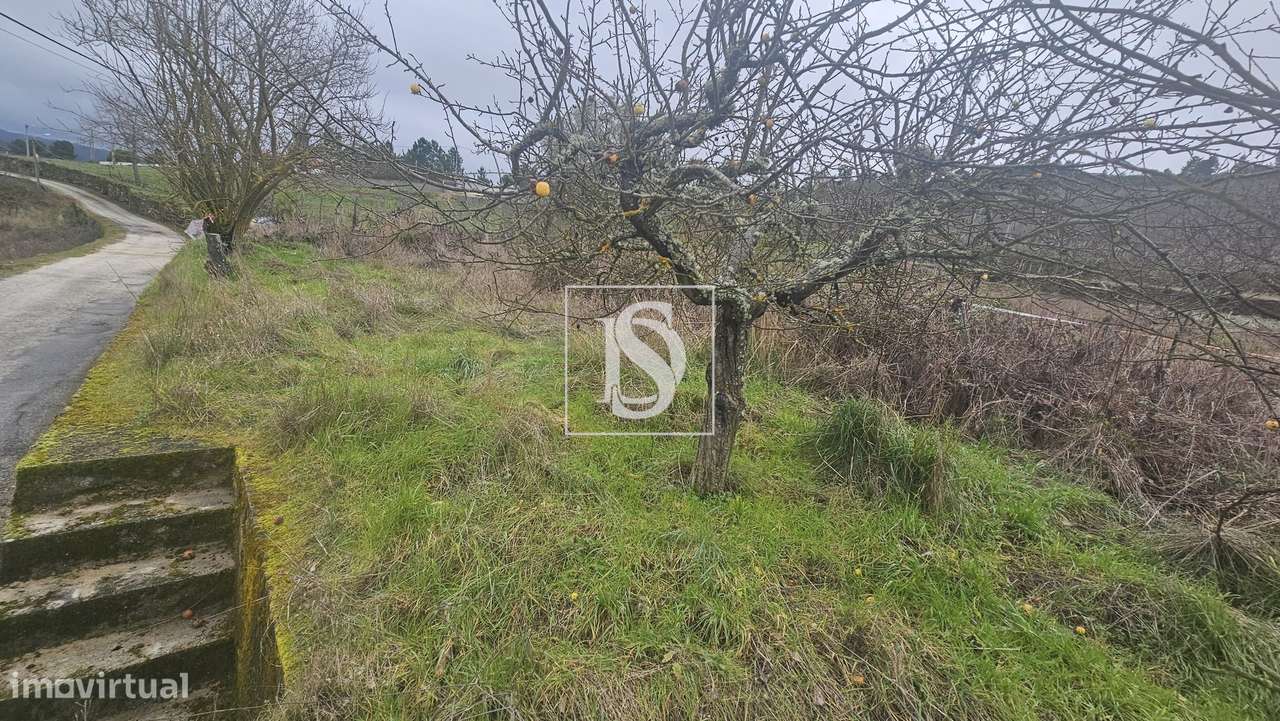 Terrenos Rústicos – Aricera e Goujoim, Armamar (Viseu)-2
