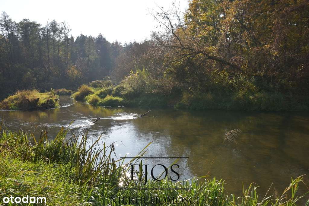 Działka z linią brzegową rzeki Świder w Otwocku - Pełny obrazek: 4/4