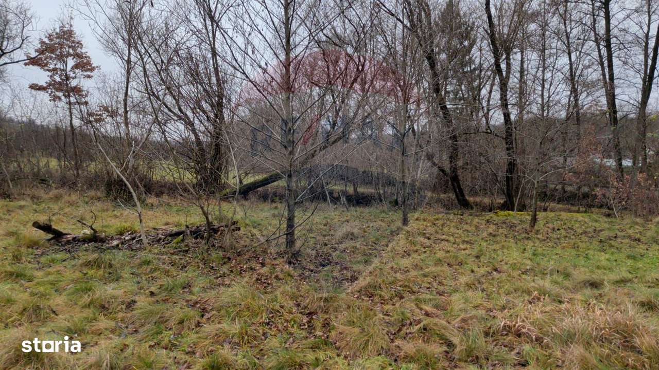 Teren 2,932mp Sarbi (Budesti) / Drumul Principal - Imagine principală: 5/7