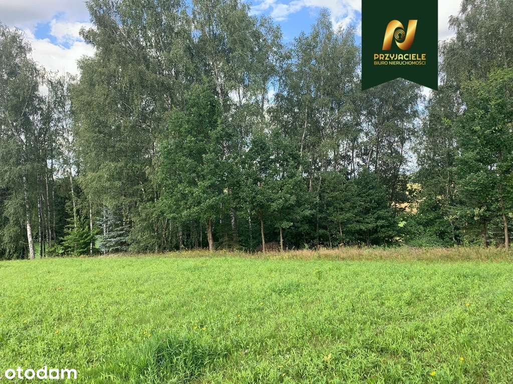 Działka 3010 m2 , 13 km od Olsztyna ! - Pełny obrazek: 4/6