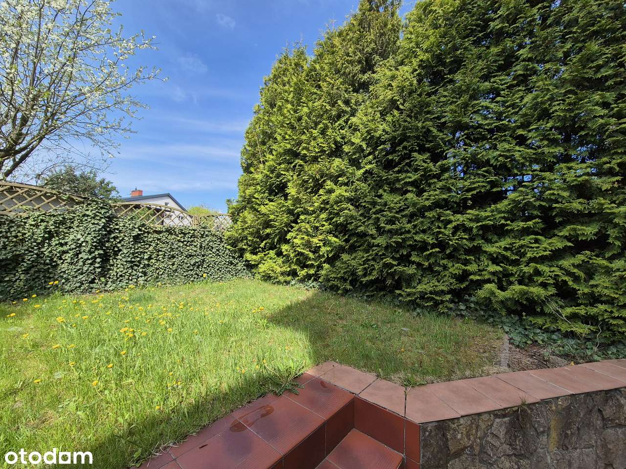 Dom w zabudowie szeregowej dostępny od ręki/ 0% Prowizji - Pełny obrazek: 5/20