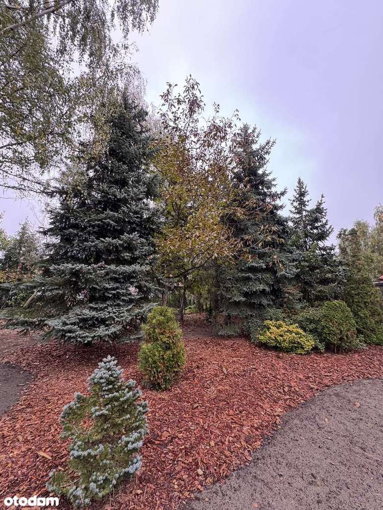 Duży dom z ogrodem – wprowadzasz się od razu - Pełny obrazek: 4/20