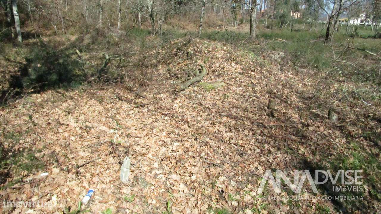 Lote de Terreno  Venda em Barreiros e Cepões,Viseu - Grande imagem: 3/9