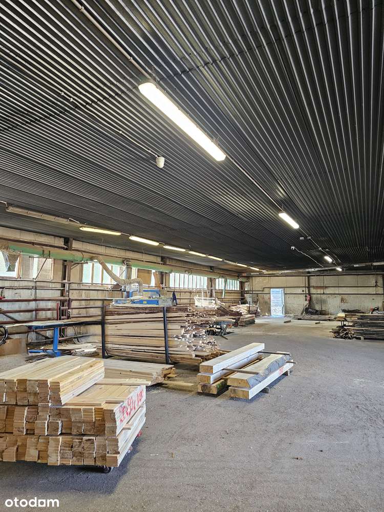 Sprzedam nieruchomość pod działalność (produkcja, magazyny, inne) - Pełny obrazek: 5/14