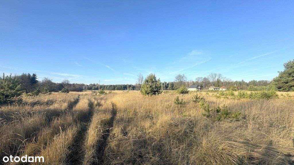 Działka budowlana z lasem | Sokole Pole gm. Janów - Pełny obrazek: 5/9