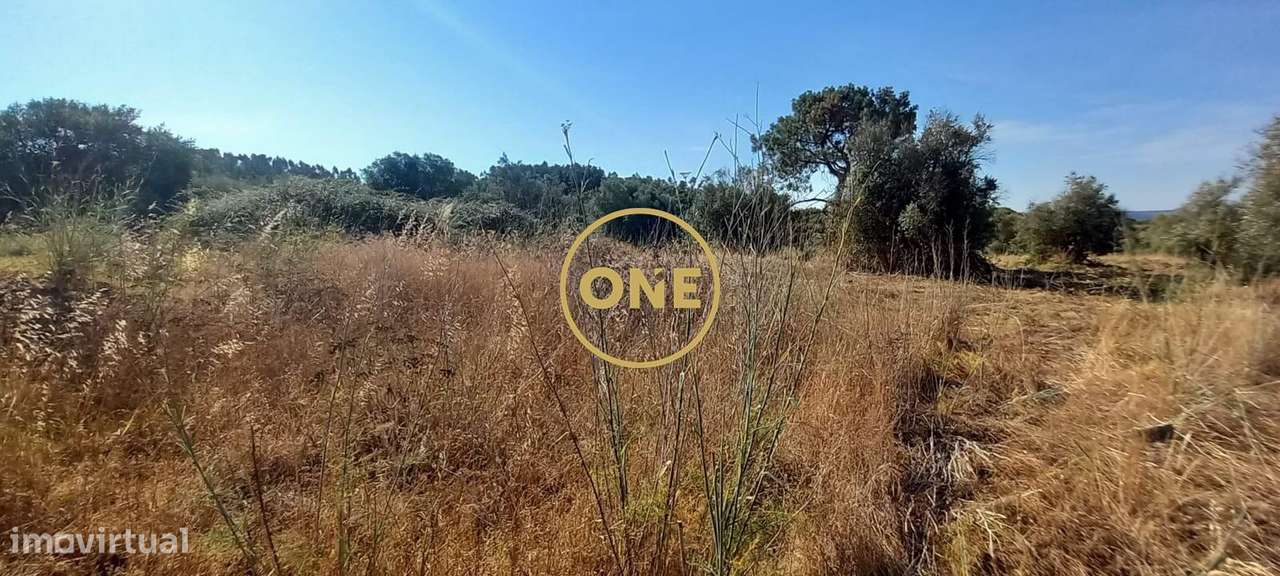 Terreno com 21.960 m2 e viabilidade construtiva | Vila Nova da Barquin-10