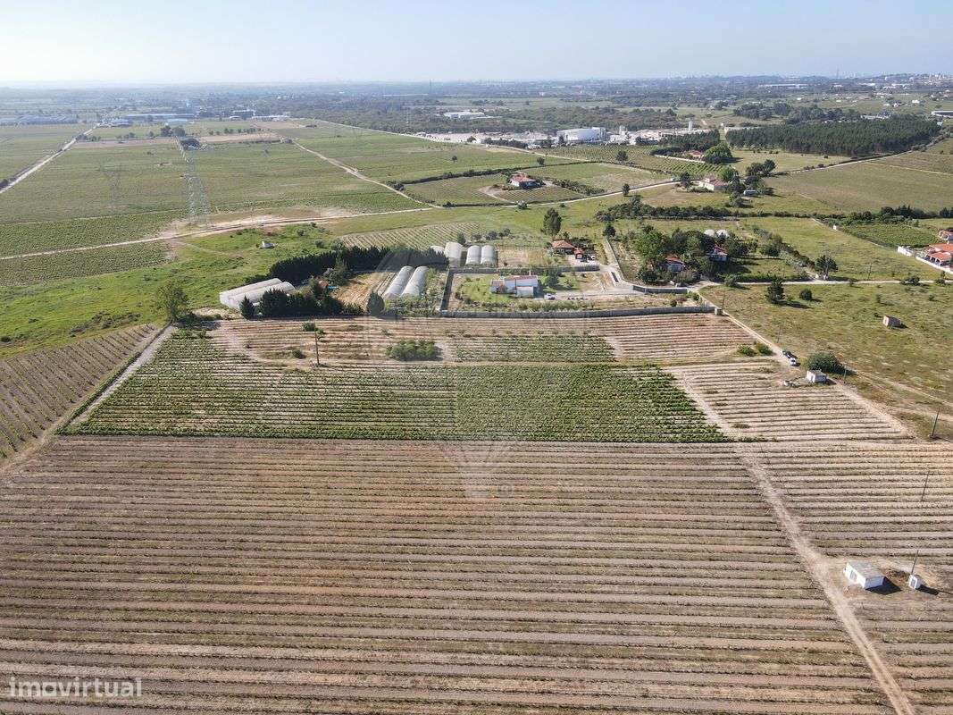 Terreno  para venda - Grande imagem: 4/13