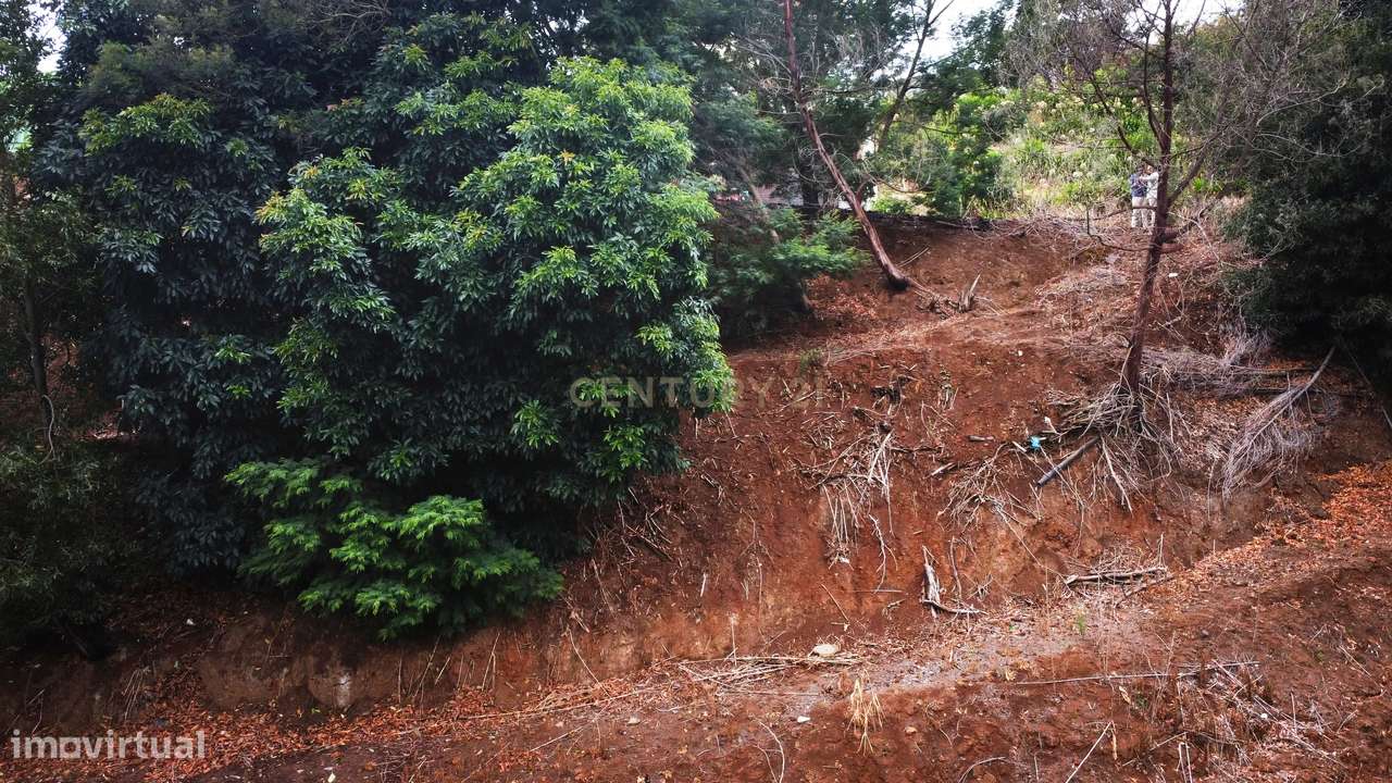 Oportunidade de Investimento - Terreno em Gaula, Madeira - Grande imagem: 5/6