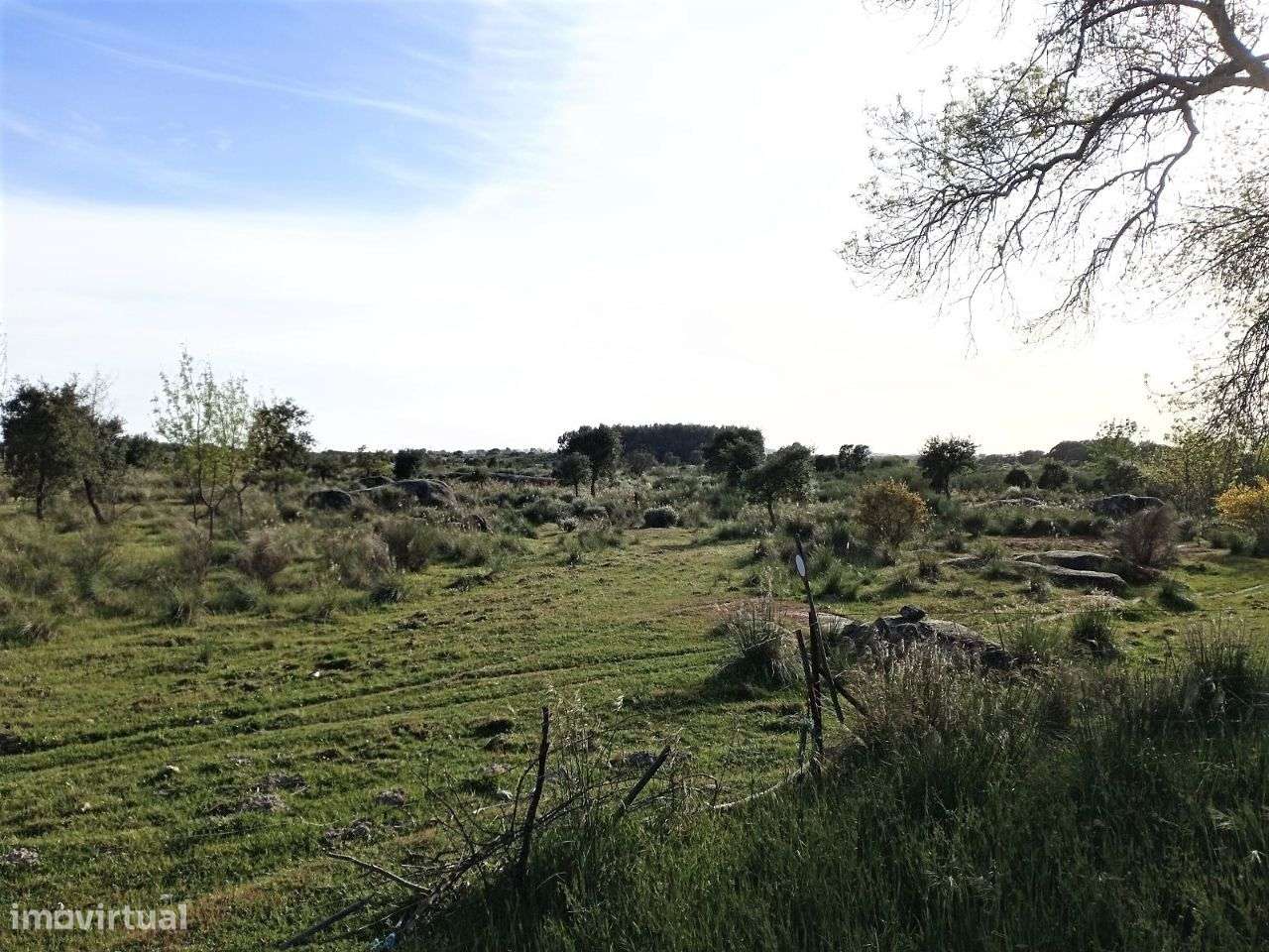 Terreno - Grande imagem: 4/5