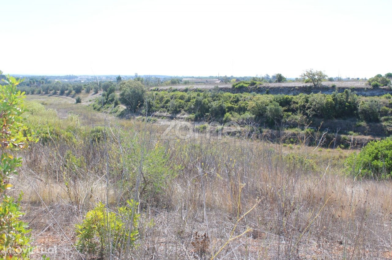 Terreno com 6 Hectares no Cartaxo