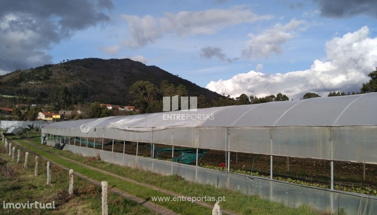 Terreno para construção para venda, Vilar Mouros, Caminha