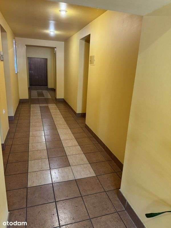 Lokal użytkowy, parter, biura - Pełny obrazek: 5/6